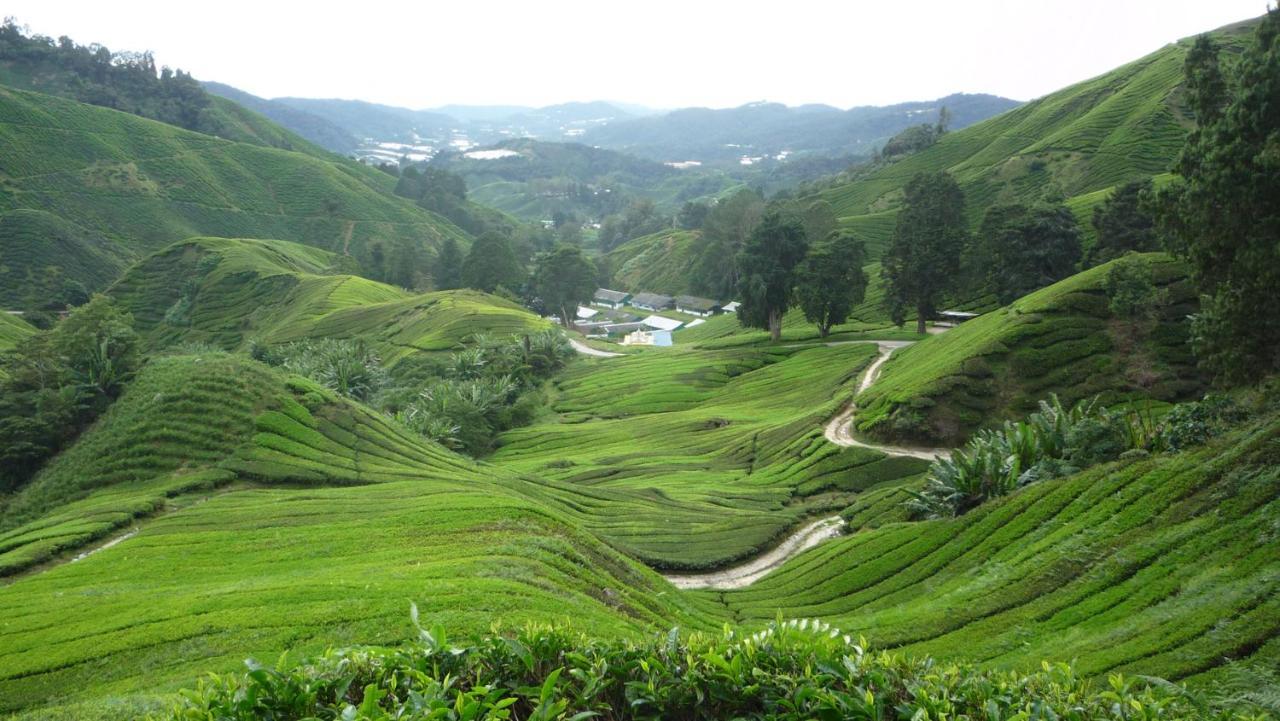 The Quintet Cameron Highlands By Tulip Tanah Rata Zewnętrze zdjęcie